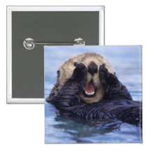Na, Etats-Unis, Alaska. Les loutres de mer sont le Badge