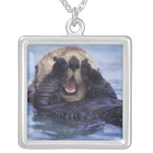 Na, Etats-Unis, Alaska. Les loutres de mer sont le Collier Personnalisé