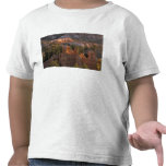 Na, Etats-Unis, Utah, canyon NP 2 de Bryce T-shirts
