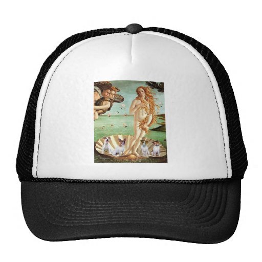 Naissance de Jack Russells (quatre) - de Vénus Casquette De Camionneur
