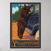 N'alimentez pas les ours - Yellowstone parc nation Poster