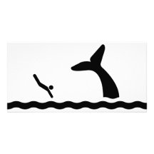 Natation avec les baleines cartes avec photo