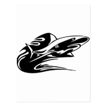 Natation de requin carte postale