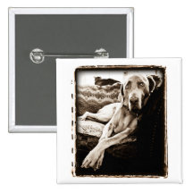 Nation de Weimaraner : La chaise de Ballou Pin's