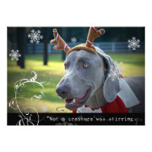Nation de Weimaraner : "Pas une créature remuait… Invitation Personnalisable