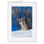 Nature d'hiver de cartes de voeux de vacances