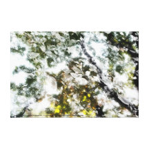 nature du bruit - intérieur toiles tendues sur châssis