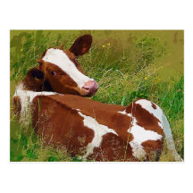 Ne me tracassez pas vache cartes postales