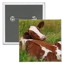 Ne me tracassez pas vache pin's avec agrafe