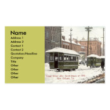 Neige 1895 de St de canal de la Nouvelle-Orléans, Cartes De Visite Personnelles