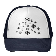 Neige Casquettes De Camionneur