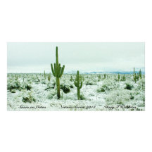 Neige sur la série de nature de Catus 2012 cartes  Photocarte Personnalisée