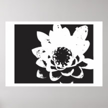 nénuphar noir et blanc posters