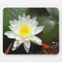 Nénuphar tapis de souris