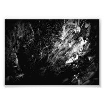 Nestle Impressions Photographiques