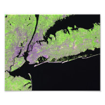 New York, Etats-Unis Photographes