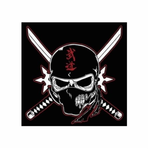 NinjaSkull_logo Photos En Relief