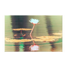 NO1 de nénuphar Impression Sur Toile