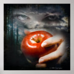 Nocturne Affiches
