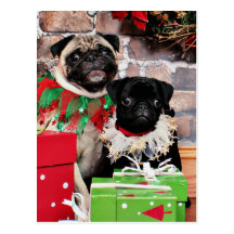 Noël - carlin - marguerite Mae et lis Lou Cartes Postales