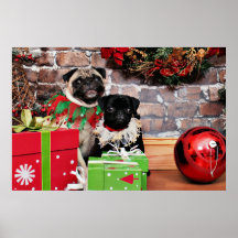 Noël - carlin - marguerite Mae et lis Lou Posters