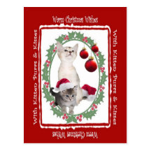 Noël chaud de chaton souhaite la carte postale