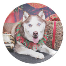 Noël - chien de traîneau sibérien - ami assiette