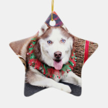 Noël - chien de traîneau sibérien - ami décoration de noël