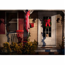 Noël - combien coûte ce chienchien dans la fenêtre photos en relief