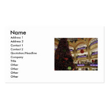 Noël dans le carte de visite de Paris