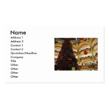 Noël dans le carte de visite de Paris