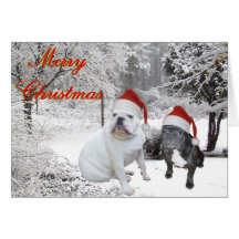 Noël de bouledogue cartes de vœux