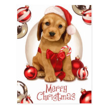 Noël de cocker cartes postales