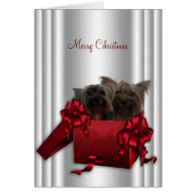 Noël de Yorkshire Terrier Carte