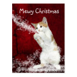 Noël espiègle de minou cartes postales