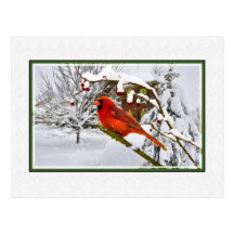 Noël, hiver, oiseau cardinal, neige, carte postale