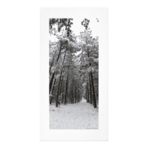 Noël hivernal photocartes