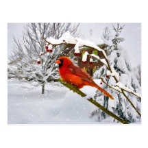 Noël, oiseau cardinal, neige, carte postale