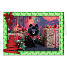 Noël - Pomeranian - Mazie Cartes De Vœux