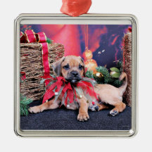 Noël - Puggle - GUS Décoration De Noël