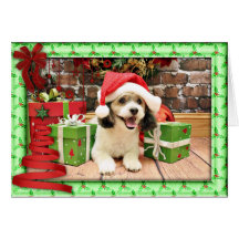 Noël - Shih Poo - maximum Cartes De Vœux