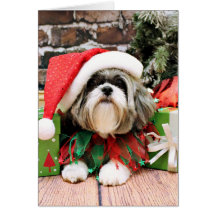 Noël - Shih Tzu - Vince Cartes De Vœux