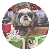 Noël - ShihPoo - Annabelle Assiette Pour Soirée