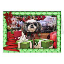 Noël - ShihPoo - Annabelle Cartes De Vœux