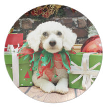 Noël - ShihPoo - Brooklyn Assiette
