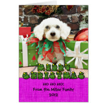 Noël - ShihPoo - Brooklyn Cartes