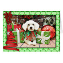 Noël - ShihPoo - Brooklyn Cartes De Vœux