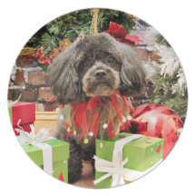 Noël - ShihPoo - Jack Assiette