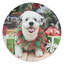 Noël - ShihPoo - Lucy Assiettes
