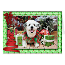 Noël - ShihPoo - Lucy Cartes De Vœux